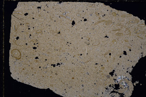 Cross Polarized, E25647