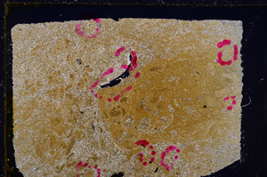 Cross Polarized, E25653