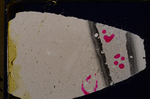 Cross Polarized, E25657