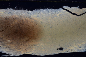 Cross Polarized, E25746