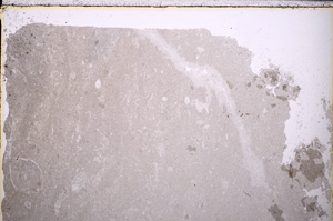 Plane Polarized, E25772