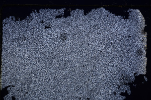 Cross Polarized, E25860