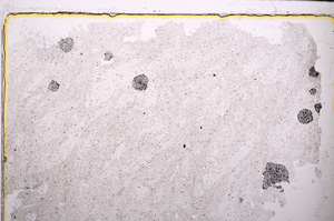 Plane Polarized, E25860