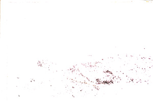 Plane Polarized, E25861
