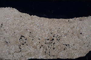 Cross Polarized, E25862