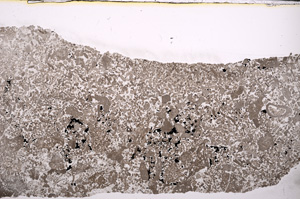 Plane Polarized, E25862