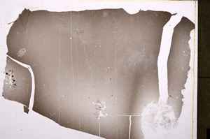 Plane Polarized, E25863