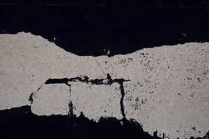 Cross Polarized, E25864