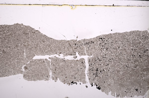 Plane Polarized, E25864