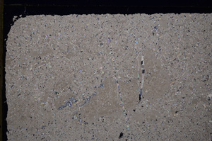 Cross Polarized, E25865