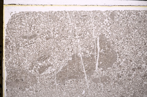 Plane Polarized, E25865