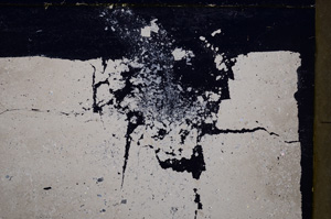 Cross Polarized, E25866