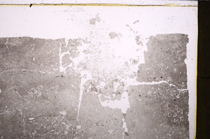 Plane Polarized, E25866
