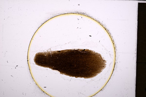 Plane Polarized, E26029