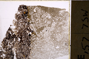 Plane Polarized, E26058