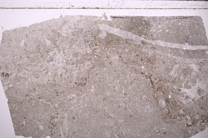 Plane Polarized, E26089