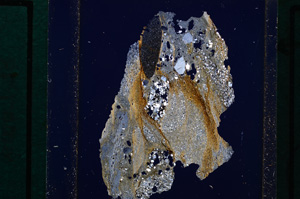 Cross Polarized, E26160