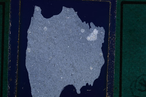 Cross Polarized, E26189