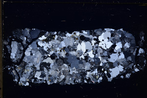 Cross Polarized, E26210