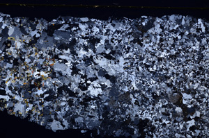 Cross Polarized, E26214