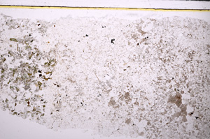 Plane Polarized, E26214