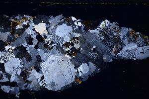 Cross Polarized, E26216