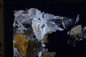 Cross Polarized, E26218