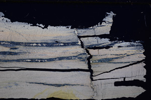 Cross Polarized, E26220