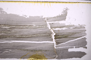 Plane Polarized, E26220