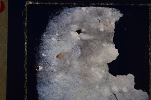 Cross Polarized, E26233