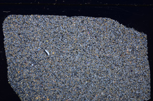 Cross Polarized, E26252