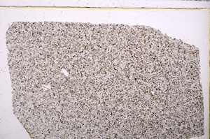 Plane Polarized, E26252