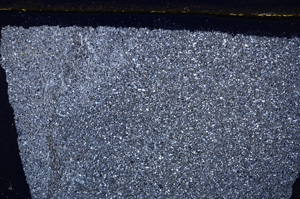 Cross Polarized, E26276