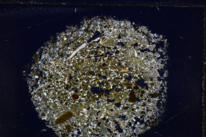 Cross Polarized, E26292