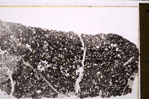 Plane Polarized, E26352