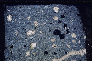 Cross Polarized, E26355