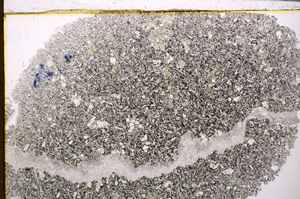 Plane Polarized, E26358