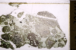Plane Polarized, E26359