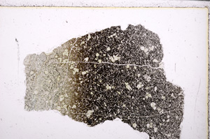 Plane Polarized, E26422