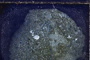 Cross Polarized, E26427