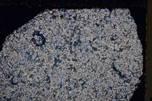 Cross Polarized, E26429