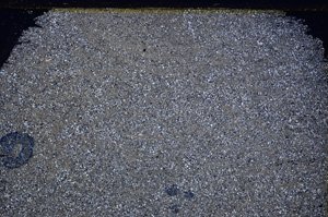 Cross Polarized, E26439