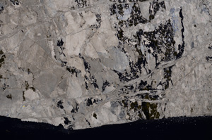 Cross Polarized, E26450