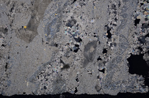 Cross Polarized, E26466