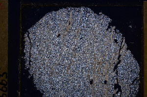 Cross Polarized, E26487