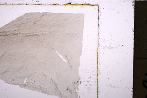 Plane Polarized, E26493