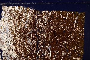 Cross Polarized, E26544