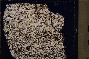 Cross Polarized, E26547