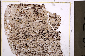 Plane Polarized, E26547