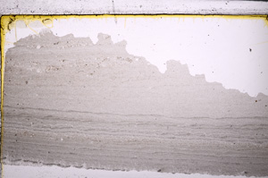 Plane Polarized, E26565